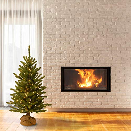 4ft Pre-Lit Artificial Christmas Tree with Hinged Branches - Green, Full Profile, Indoor Decor - Variation of Trees