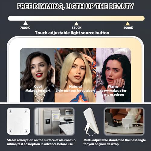 Makeup Organizer Box with Detachable Lighted Mirror, Travel Train Cosmetic Case, Adjustable Divider Storage Bag, Portable Artist Storage Suitcase with Magnetic LED Mirror (Rose Gold)