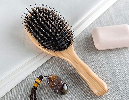 Olive Wood Wild Boar Bristle Hairbrush for Styling & Detangling, Gift Box Included