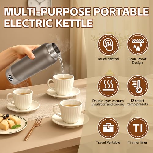 Gary 520ML Titanium Travel Electric Kettle - Dual Voltage 12 Temp Control Gray