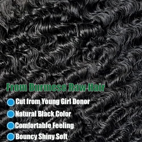 12 Inch Burmese Curly Human Hair Bundles Water Wave Spiral Ends - 100% Virgin Remy Hair, Double Weft, Natural Black, 3C4A Style (Variation of THIS listing)