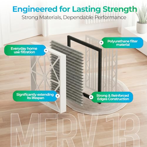 20 x 30 x 3 MERV 13 Pleated Air Filter with Black Gasket - 2 Pack, Compatible with Zephyr VGF Series