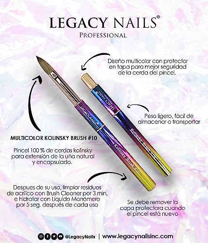 Multicolor Kolinsky Nail Brush #10 for Acrylic Nail Extensions - Flexible, Light Weight