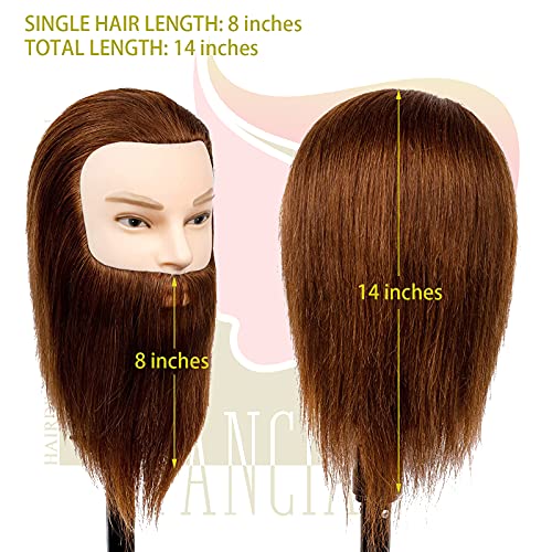 Male Mannequin Head with 14 Inch Human Hair for Barber Training & Styling