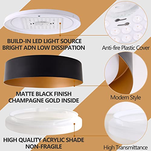 16.5-Inch Matte Black Flush Mount Ceiling Light with Gold Interior - Modern Minimalist Design