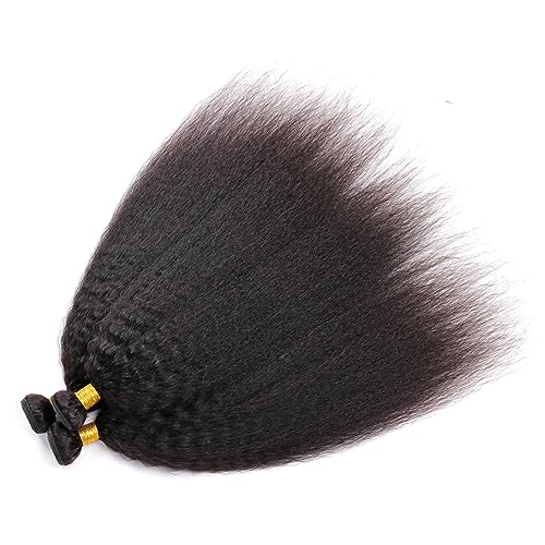 DaiMer Kinky Straight Human Hair Bundles - 16 Inch Unprocessed Brazilian Virgin Hair - 1 Bundle