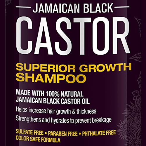 Hair Chemist Jamaican Black Castor Shampoo & Conditioner Set - Hair Growth 33.8oz