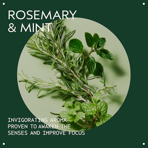 Aveda Rosemary Mint Weightless Conditioner 33.8 Fl Oz - Natural Daily Hair Care