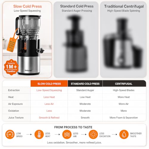 Godspeeds 6-Inch Wide Chute Cold Press Juicer Machine - Black
