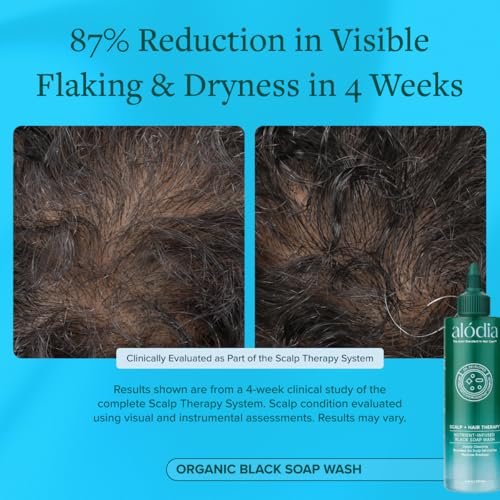 Organic Black Soap Hair Shampoo 8 Fl Oz Pack of 2 - Clarifying & Moisturizing