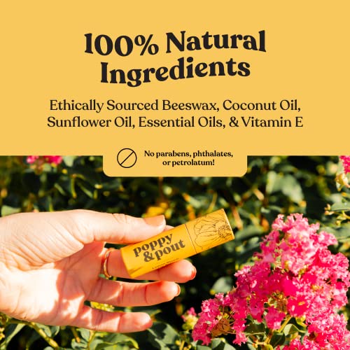 Jumbo Lip Balm Gift Set 5-Pack - Poppy & Pout All Natural Lip Balms (Island Coconut, Pomegranate Peach, Sweet Mint, Wild Honey, Orange Blossom) - Cruelty-Free