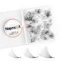 500 Promade Fans - 5D 0.07 Size 10mm Curl D, Napricot Volume Premade Eyelash Fans Extension - Promade Lash Fans for Eyelash Extensions, Middle Stem, Fluffy, Soft - 2 Pairs Eye Pads Lash Extensions