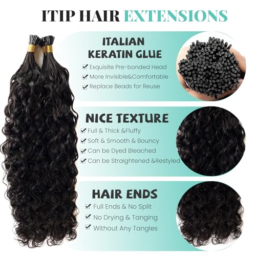 Water Wave I Tip Hair Extensions - Black Human Hair 14 Inch 100 Strands - Curly Pre Bonded Extensions - Variation of ITIP-#WW