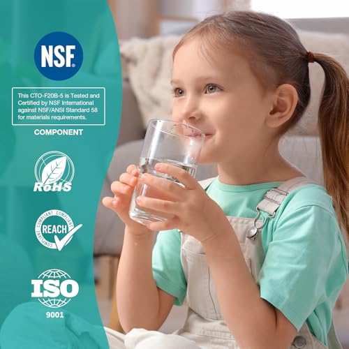 2 Pack 20-Inch x 4.5-Inch CTO Carbon Water Filter Cartridges - 5 Micron, Whole House Filtration