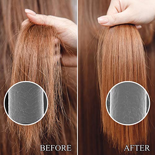 Luseta Perfect Bonding Restoring Shampoo 33.8 oz - Pack of 1
