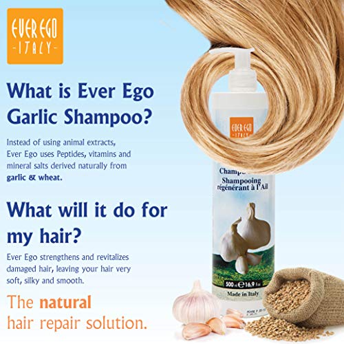 Garlic Shampoo for Damaged Hair 16.9 Fl Oz - Repair & Hydrate for Men & Women