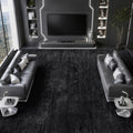 Self-Cleaning Silver Infused Area Rug 6x9 Black - Modern Minimalist Design