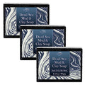 Vivo Per Lei Dead Sea Soap Bar - Face Soap for Women - Contains Dead Sea Salt, Charcoal - 3.17 Oz - Pack of 3