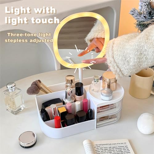 DASITON Makeup Organizer with Rechargeable LED Mirror, 2 Drawers, Large Capacity - White