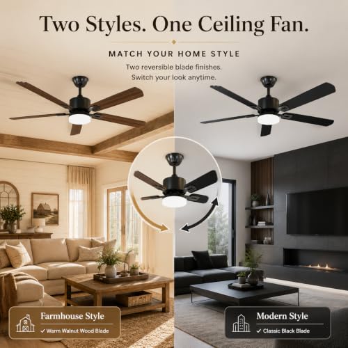 Standle 52-Inch Black Ceiling Fan with Lights & Remote Control, Dual-Sided Blades