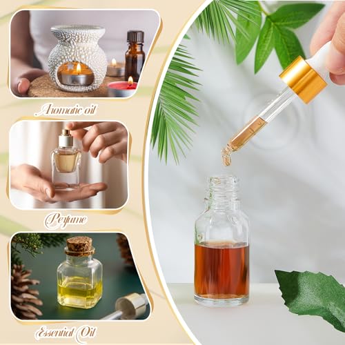 Mini Glass Oil Dropper Bottles Set 15ml Champagne Gold - 200 Pack