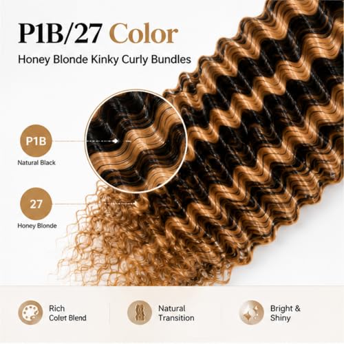 Human Hair Highlight Kinky Curly Bundles - Brazilian P1B/27 Ombre Blonde, 20-24 Inch Variation #P1B/27-J-20-22-24