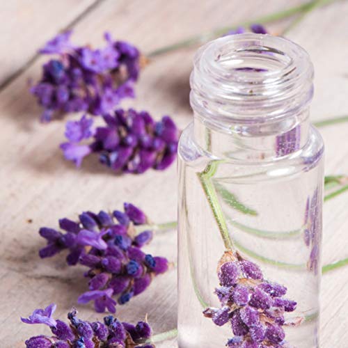 Lavender Hydrosol Water 32oz - Pure Steam Distilled Calming Facial Toner & Aromatherapy