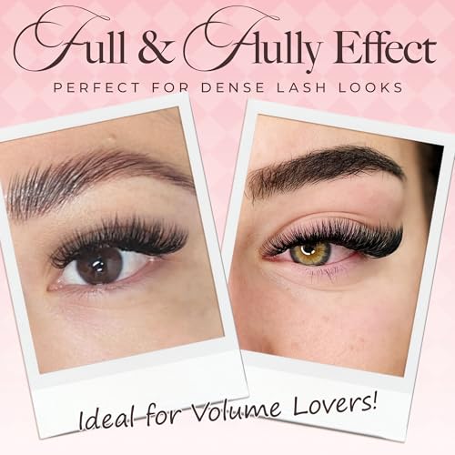 LASHVIEW 600 Premade Volume Eyelash Extensions Mixed Tray Fans C Curl Pointed Handmade Loose Fans Thin Base (10D-0.07C,8-15mm)