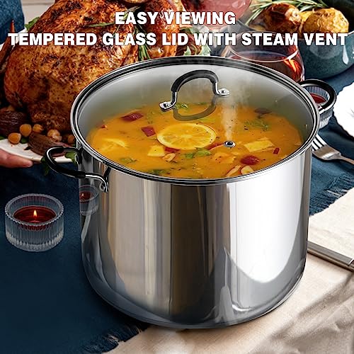 20 Quart Stainless Steel Stock Pot with Lid - Professional Cooking Pot for Pasta & Soup