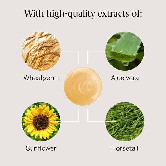 Rausch Egg Oil Nutrient Shampoo for Dry Hair 200ml | Scalp Treatment & Soothing