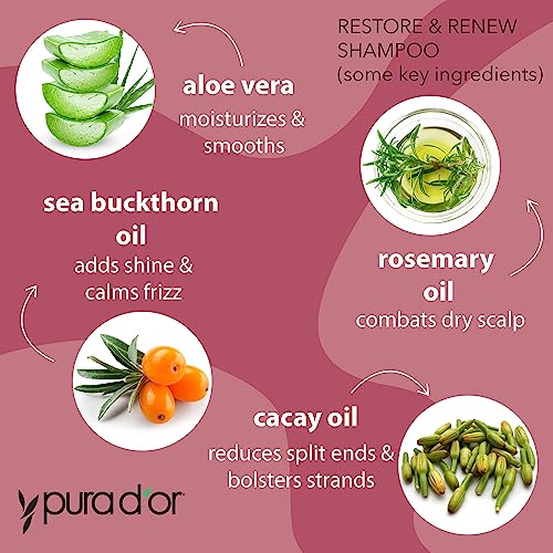 PURA D'OR Restore & Renew Shampoo and Conditioner Set for Strong, Healthy, and Nourished Hair with Organic Aloe Vera, Rosemary, Sea Buckthorn, Cacay, Coconut, Seaberry & Cedarwood