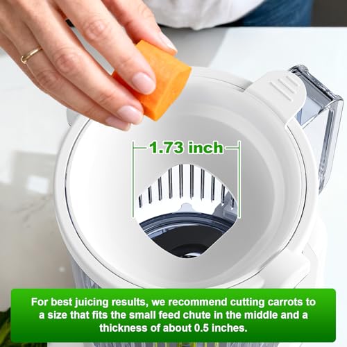 Masticating Juicer Attachment for KitchenAid - Transparent Blue - Cold Press Juicer