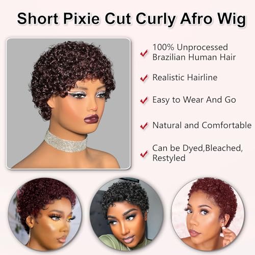 Burgundy Afro Kinky Curly Wigs for Black Women Short Pixie Cut Human Hair - Glueless 99J Style