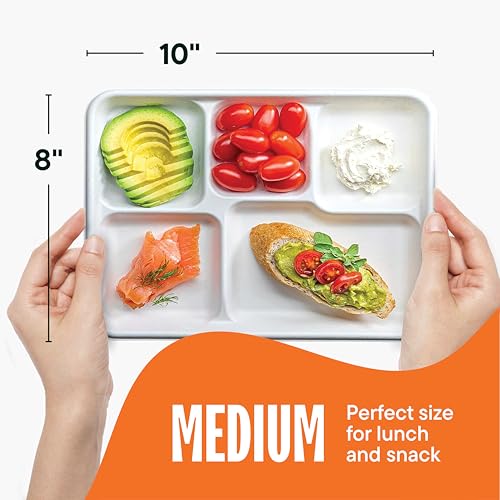 10 Inch Compostable Paper Food Trays with 5 Compartments Bulk Pack - Heavy Duty, Eco-Friendly, Sugarcane Material