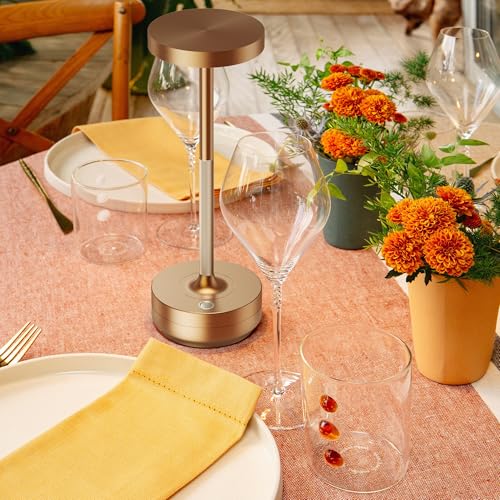 SAKRINGT 2 Pack Rechargeable LED Cordless Table Lamps Outdoor Indoor Waterproof