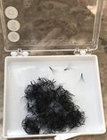 PreMade Hand Made Eyelash Fans 500 Fans/Tray D12mm 6D Curl 0.07 Thick for Extensions