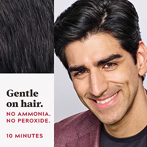 Real Black Touch of Gray Hair Color Kit with Comb Applicator - Pack of 3
