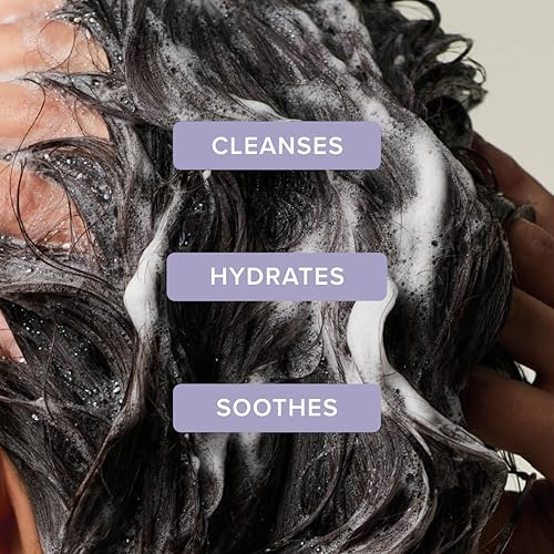 Tea Tree Lavender Mint Moisturizing Shampoo 10.14 Fl Oz for Coarse Dry Hair - Hydrates & Soothes