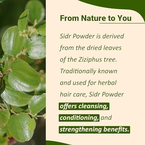 minature Fresh Sidr Leaves Powder 100gm (3.5oz) | Natural Deep Cleansing & Conditioning Herb for Hair Care | Traditional Herbal Cleanser |Plant-based Source of Mucilages and Saponins