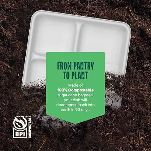 10 Inch Compostable Paper Food Trays with 5 Compartments Bulk Pack - Heavy Duty, Eco-Friendly, Sugarcane Material