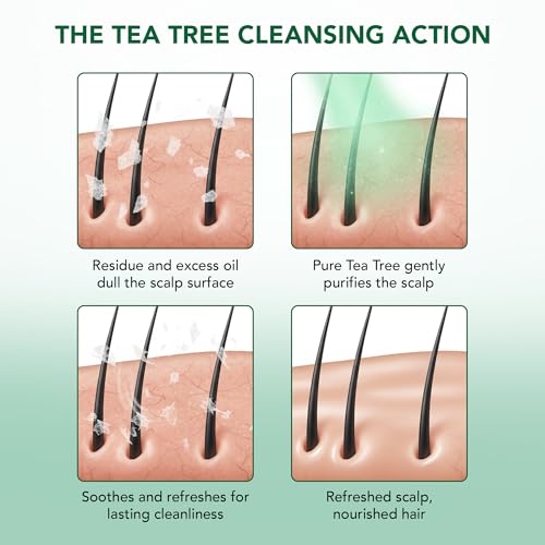 Botanic Hearth Tea Tree Shampoo & Conditioner Set - 8 fl oz + 4 fl oz
