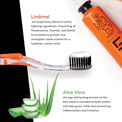 Linhart Toothpaste Enamel Care Pack of 2 - Gentle Formula for Sensitive & Normal Teeth, Supports Healthy Gums & Fresh Breath, 3.4 Ounce