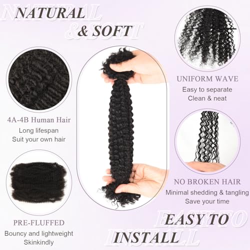 Lovenea 1B Natural Black Afro Kinky Human Hair for Braiding 12-inch, 1 Pack