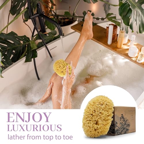 Sea Wool Sponge 5.5 Inch Natural Sea Sponge for Bathing & Exfoliation - Durable & Eco-Friendly Loofah