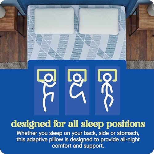 2 Pack Queen Size Memory Foam Cooling Pillows with Surface Guard Tech