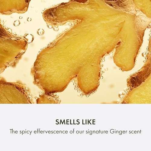 Origins Ginger Exfoliating Body Wash| Cleanses, Gently Scrubs & Invigorates Your Senses| With Bamboo, Carnauba Wax, Walnut and Ginger, 6.7 Fl Oz
