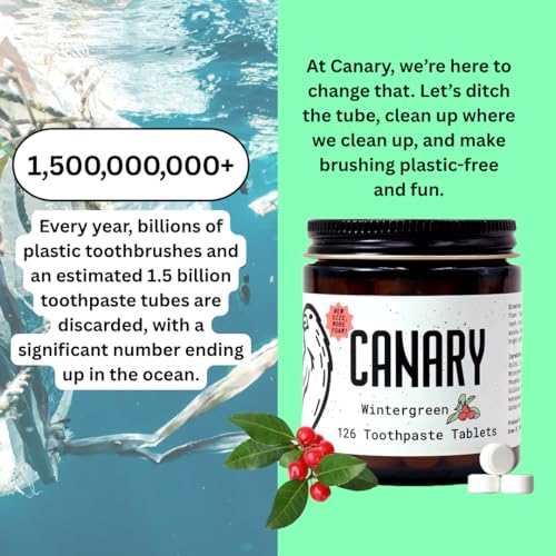 Canary Nano Hydroxyapatite Toothpaste Tablets Wintergreen 240 Count - Fluoride-Free Natural Oral Care for Travel