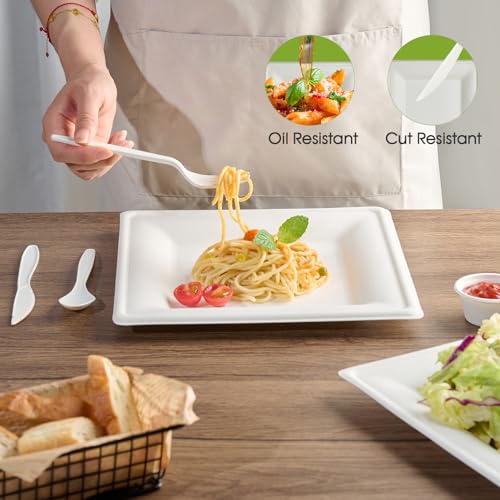 10 Inch Compostable Square Paper Plates - 300 Pack Heavy Duty Disposable Dinnerware
