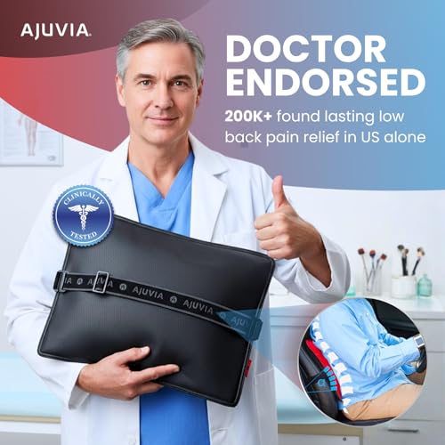 Back Vitalizer Lumbar Support Pillow for Office Chair & Car - Black