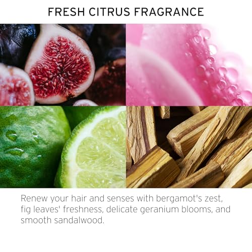 Fekkai Clean Stylers Prime Mist 5 oz Hydrates, Detangles & Heat Protects - Vegan & Cruelty-Free